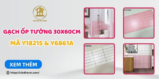 Gạch ốp tường 30x60cm mã Y18215 & Y6861A