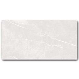 Gạch Grand 60x120cm C61NS805