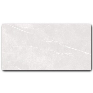 Gạch Grand 60x120cm C61NS805