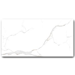 Gạch Grand 60x120cm C61VW808