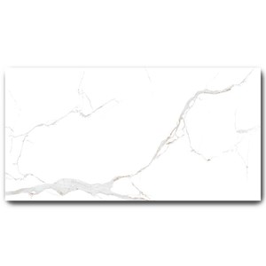 Gạch Grand 60x120cm C61VW808