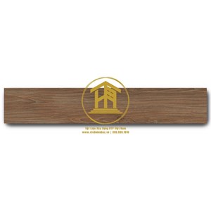 Gạch Viglacera 20x120cm GT21222
