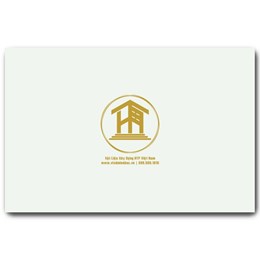 Gạch Viglacera 25x40cm KV2500