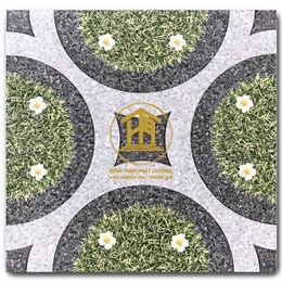 Gạch Takao 50x50cm 5030 S