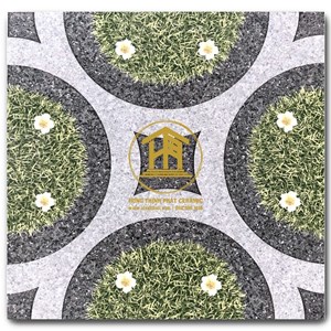 Gạch Takao 50x50cm 5030 S