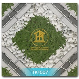 Gạch Takao 50x50cm TK1507