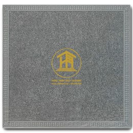 Gạch Takao 50x50cm TK25103