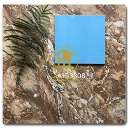 Gạch Takao 30x30cm MC 3308