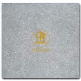 Gạch Takao 30x30cm TK 23102