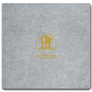 Gạch Takao 30x30cm TK 23102