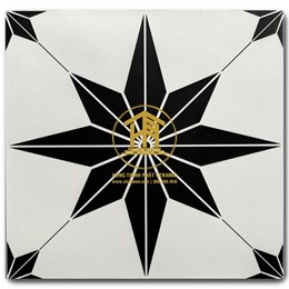 Gạch Takao 30x30cm TK 23201