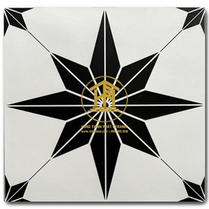 Gạch Takao 30x30cm TK 23201