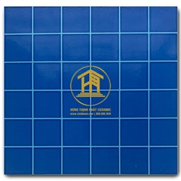 Gạch Takao 30x30cm TR320