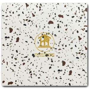 Gạch Takao 30x30cm PTN 3325