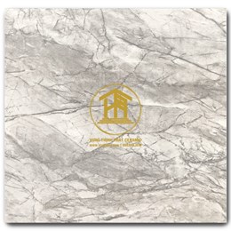 Gạch Takao 30x30cm VN 3301