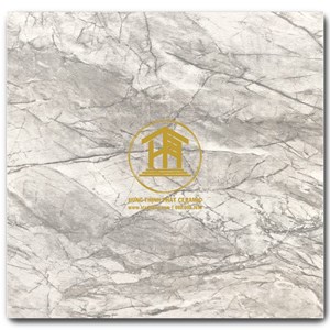 Gạch Takao 30x30cm VN 3301