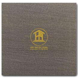 Gạch Takao 30x30cm VN 3302