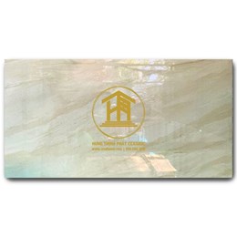 Gạch Takao 60x120cm TK 52101