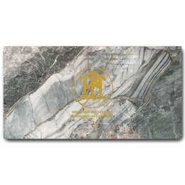 Gạch Takao 60x120cm TK 52103