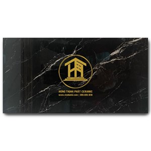 Gạch Takao 60x120cm TK52204