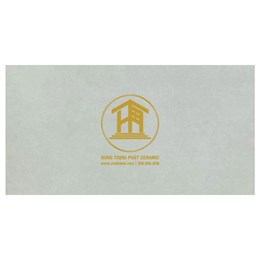 Gạch Takao 40x80cm TK54264