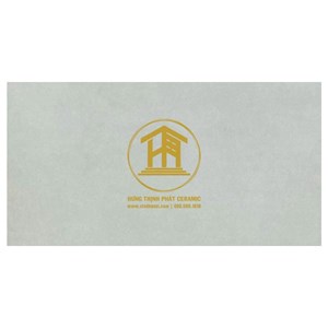 Gạch Takao 40x80cm TK54264