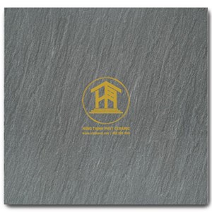 Gạch Takao 60x60cm TK 56001