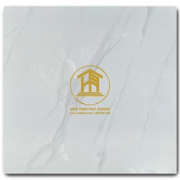 Gạch Takao 60x60cm TK 56109