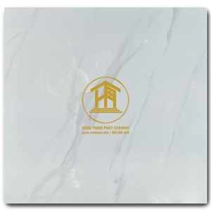 Gạch Takao 60x60cm TK 56109