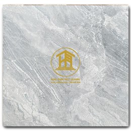 Gạch Takao 60x60cm TK 56110