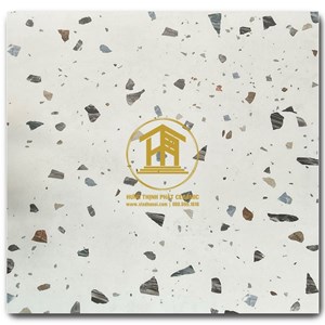 Gạch Takao 60x60cm TK 56303