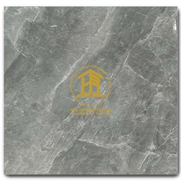 Gạch Takao 60x60cm TK 56911