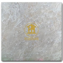 Gạch Takao 60x60cm TK16101