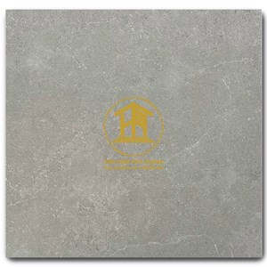 Gạch Takao 60x60cm TK46161