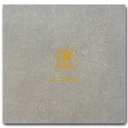 Gạch Takao 60x60cm TK46163