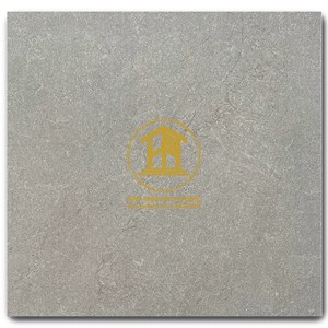 Gạch Takao 60x60cm TK46163