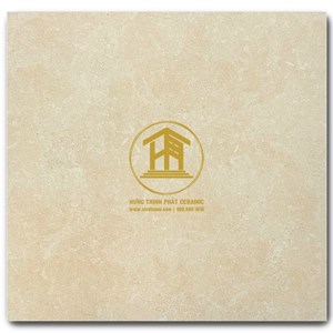 Gạch Takao 60x60cm TK46164