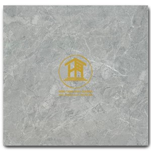 Gạch Takao 60x60cm TK56052