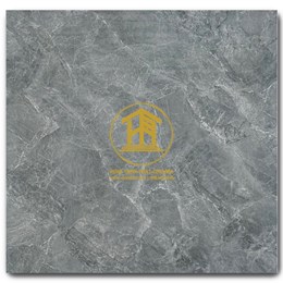 Gạch Takao 60x60cm TK56053