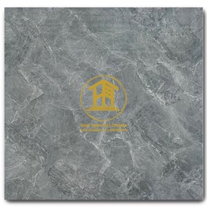 Gạch Takao 60x60cm TK56053