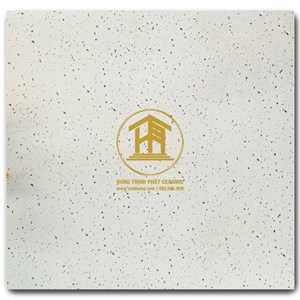 Gạch Takao 60x60cm TK56304