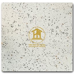 Gạch Takao 60x60cm TK56305