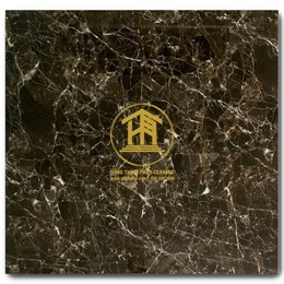 Gạch Takao 60x60cm TKC 16402