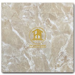 Gạch Takao 60x60cm TRT 6821