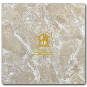 Gạch Takao 60x60cm TRT 6821