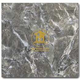 Gạch Takao 60x60cm TRT 6823