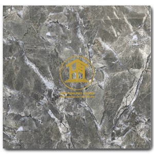 Gạch Takao 60x60cm TRT 6823