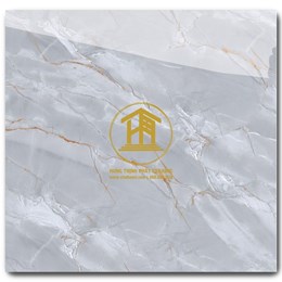 Gạch Takao 60x60cm TRT 6824