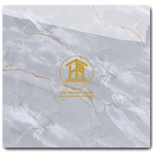 Gạch Takao 60x60cm TRT 6824