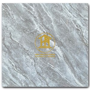 Gạch Takao 60x60cm TRT 6840